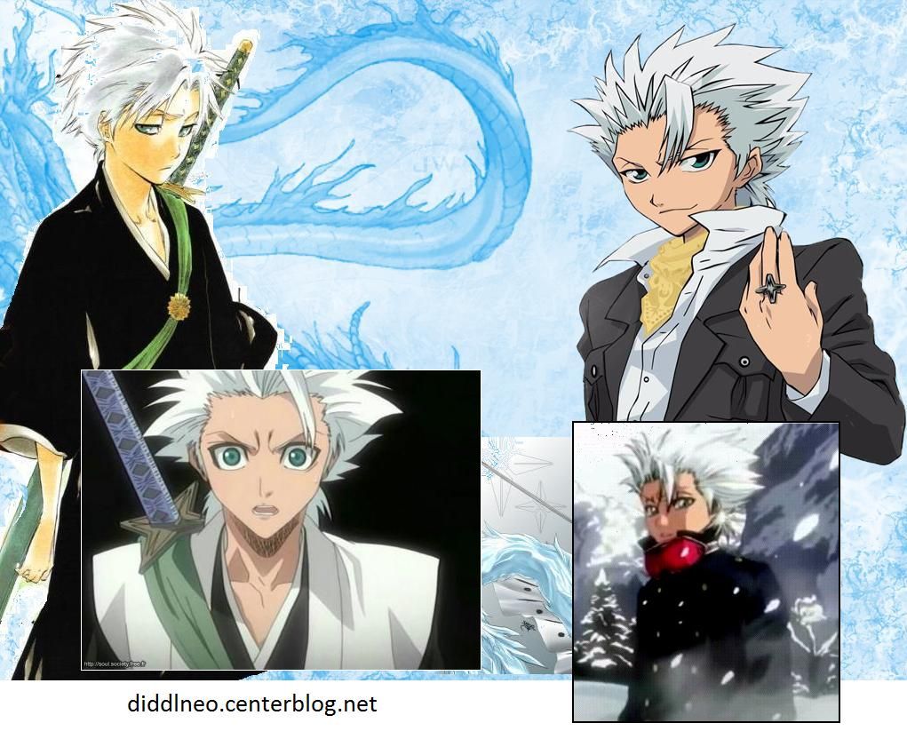 Bleach c) art 29 10eme DIV CAPITAINE